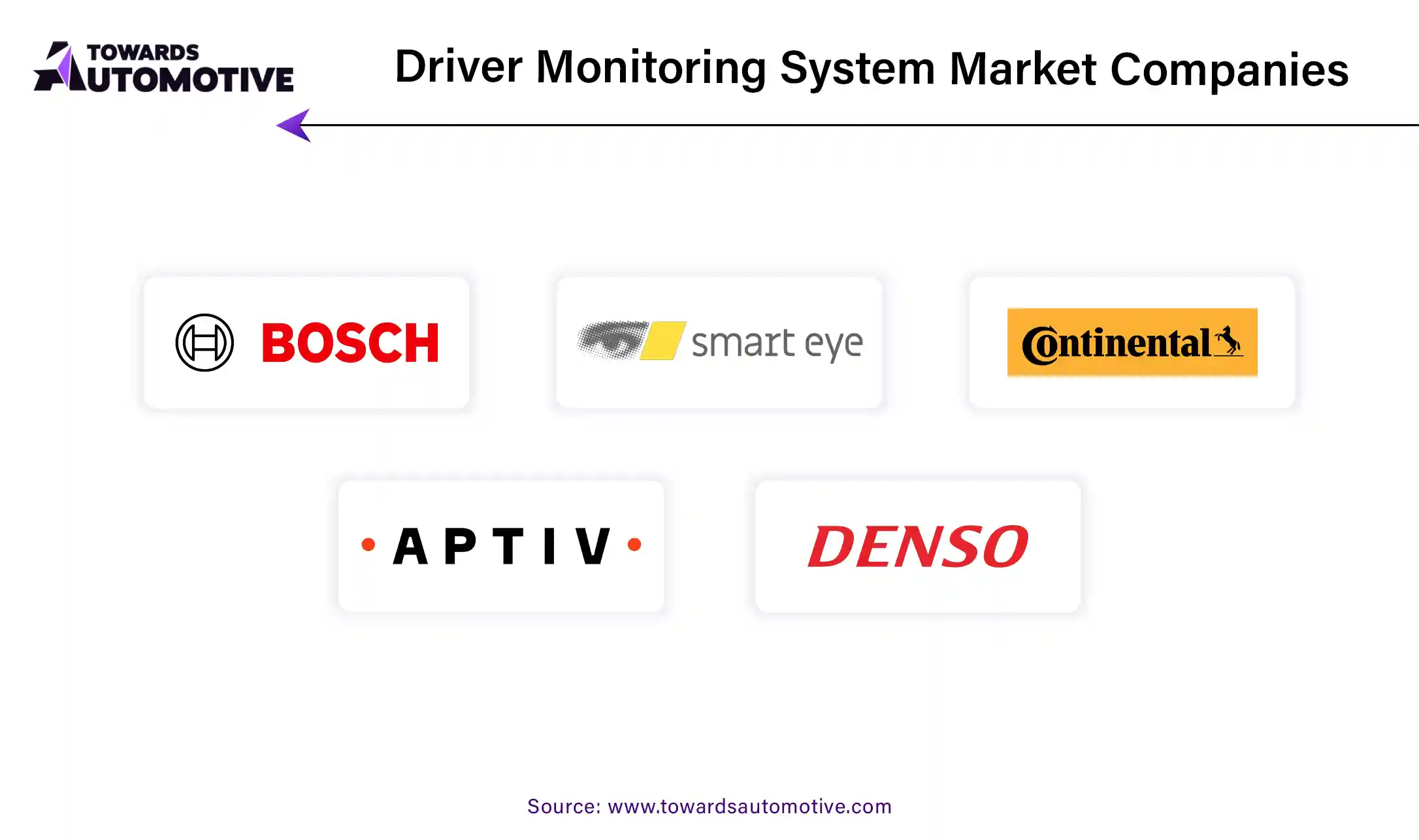 Driver Monitoring System Market Companies