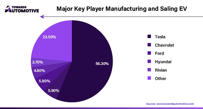 Major Key Player Manufacturing and Selling EV