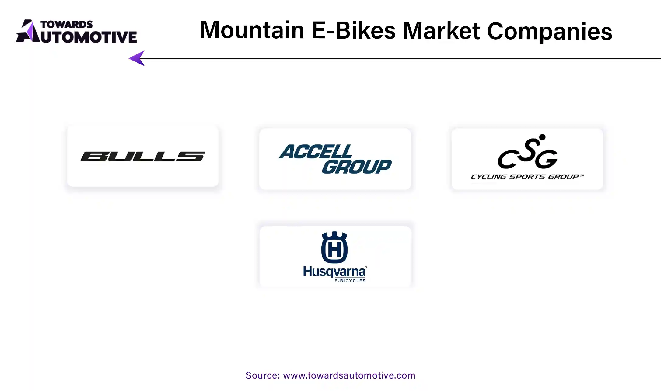 Mountain E-Bikes Market Companies